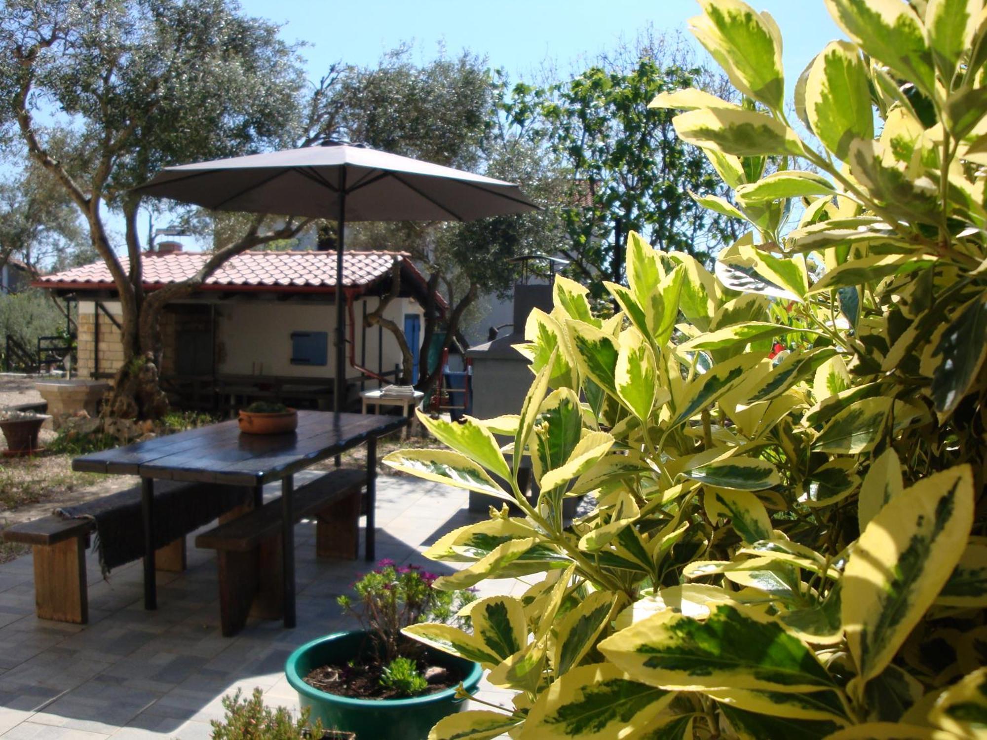 Apartments Olea Пинезичи Экстерьер фото