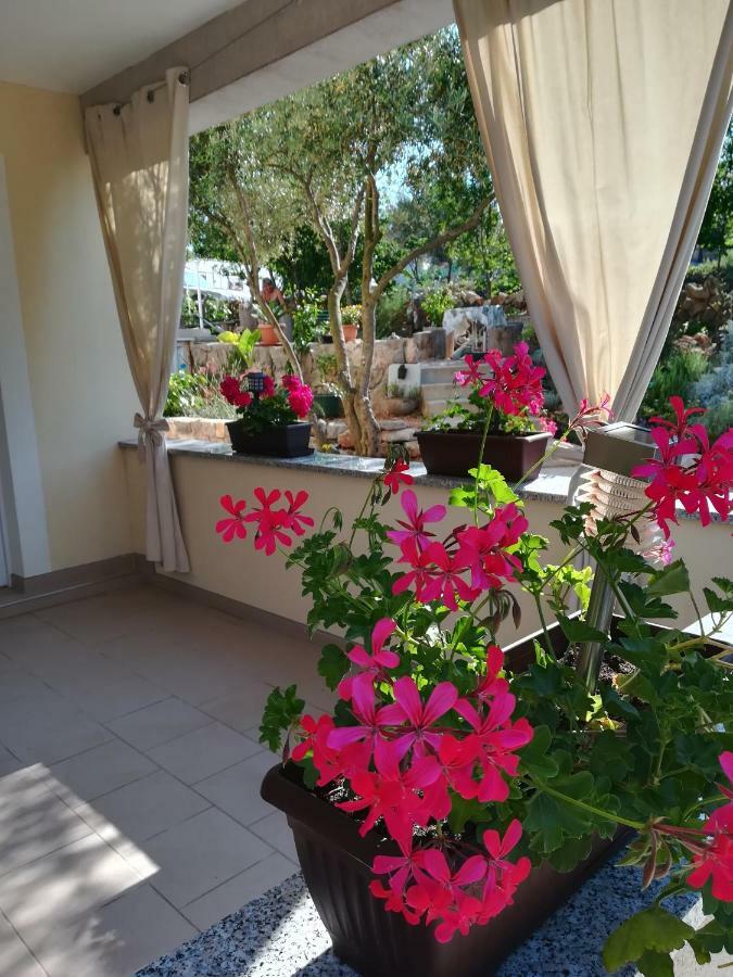 Apartments Olea Пинезичи Экстерьер фото
